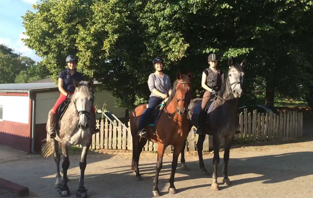 Three horse riders sit on their horses and smile at the camera. The horses stand calmly next to each other. Trees, a house, and a fence belonging to the house can be seen in the background. The scene appears friendly and harmonious and conveys a moment of relaxed leisure time in an equestrian setting. A large “F” in the HIT active stable concept stands for “leisure.”