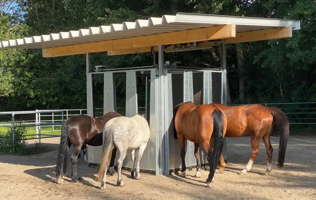 Four horses with different coat colors stand on an area covered with light-colored sand and eat from a large feed box with several openings next to each other. Several trees can be seen in the background. The scene shows a group feeding situation outside a horse stable.   Time-controlled HIT hay dispenser MULTI-9 with roof supports and swing gate